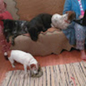 Meet your Posher, Marsha